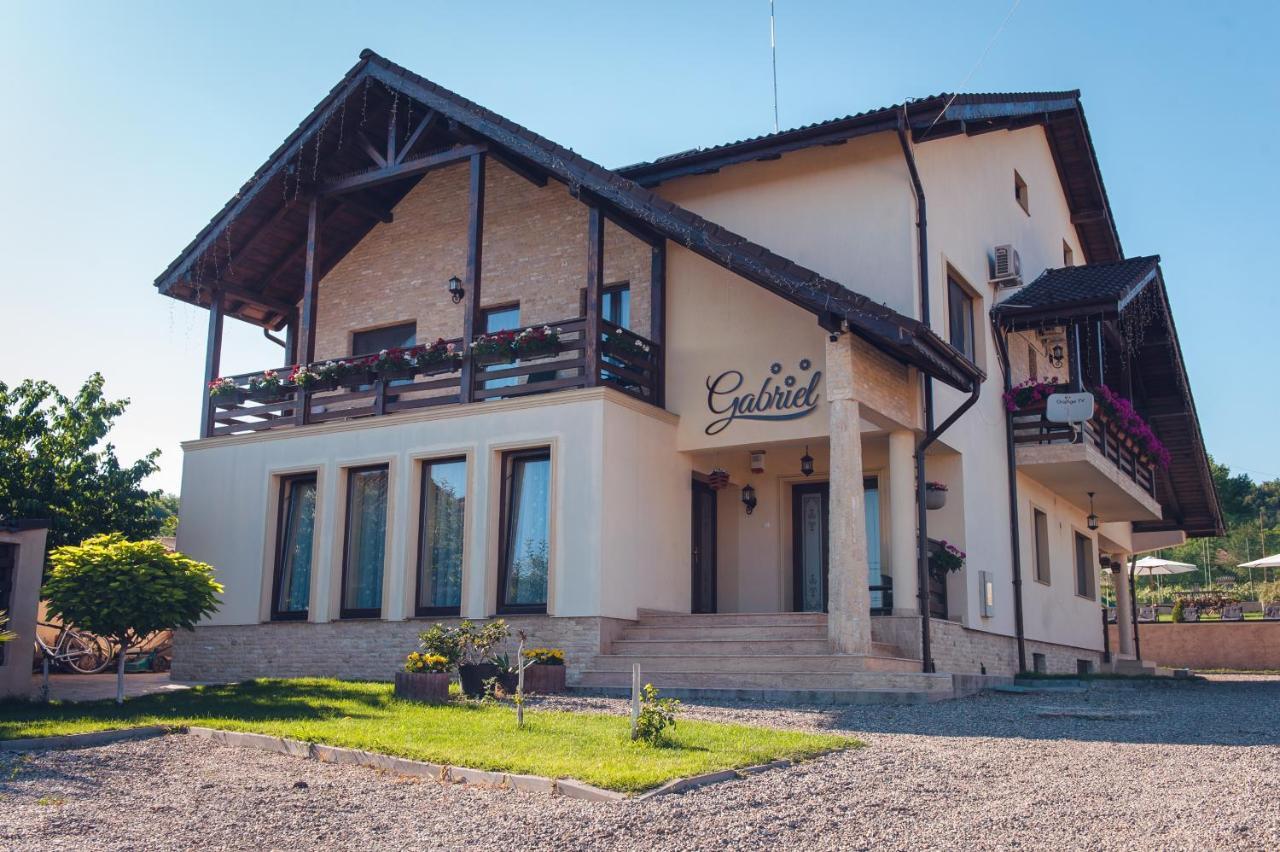 Pensiunea Gabriel Corcova Exterior photo