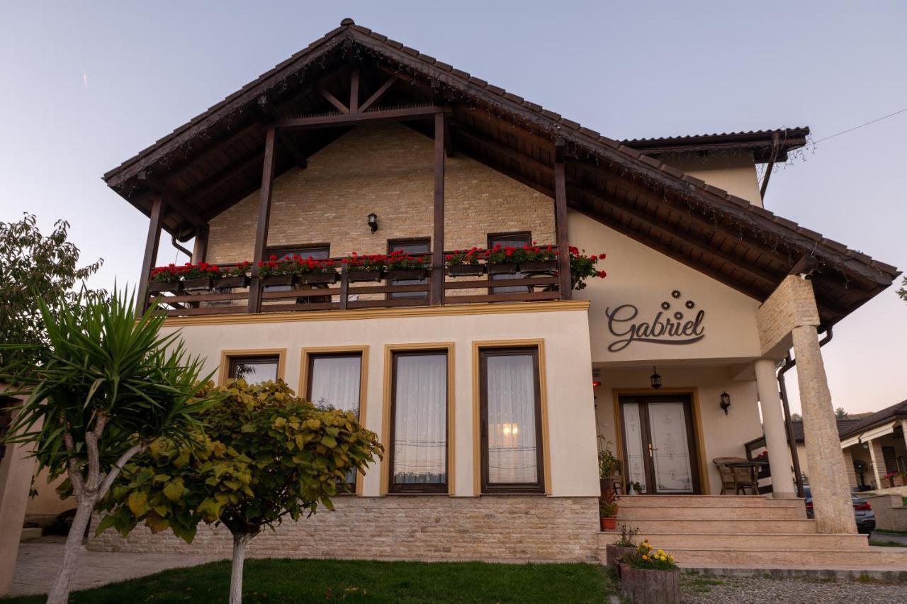 Pensiunea Gabriel Corcova Exterior photo